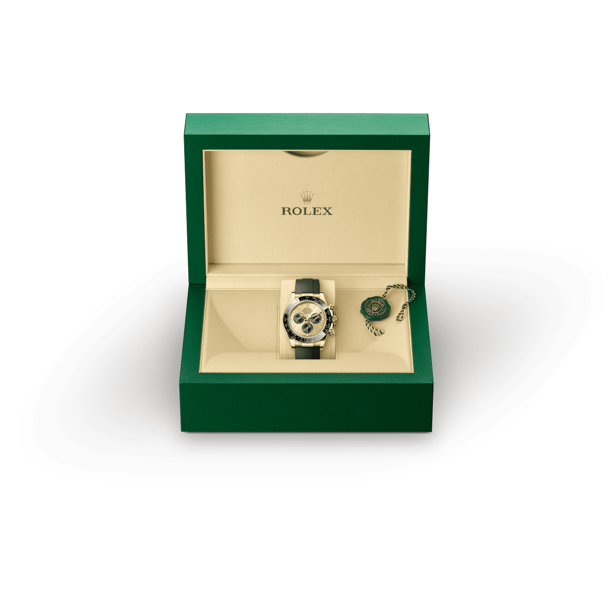 Smartwatch App